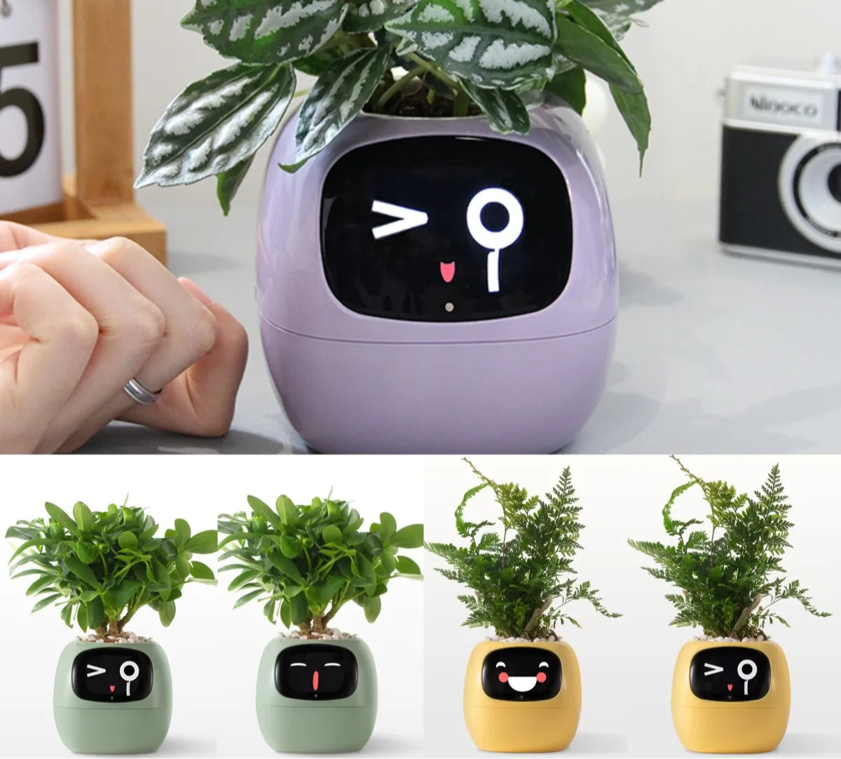 Smart Pot