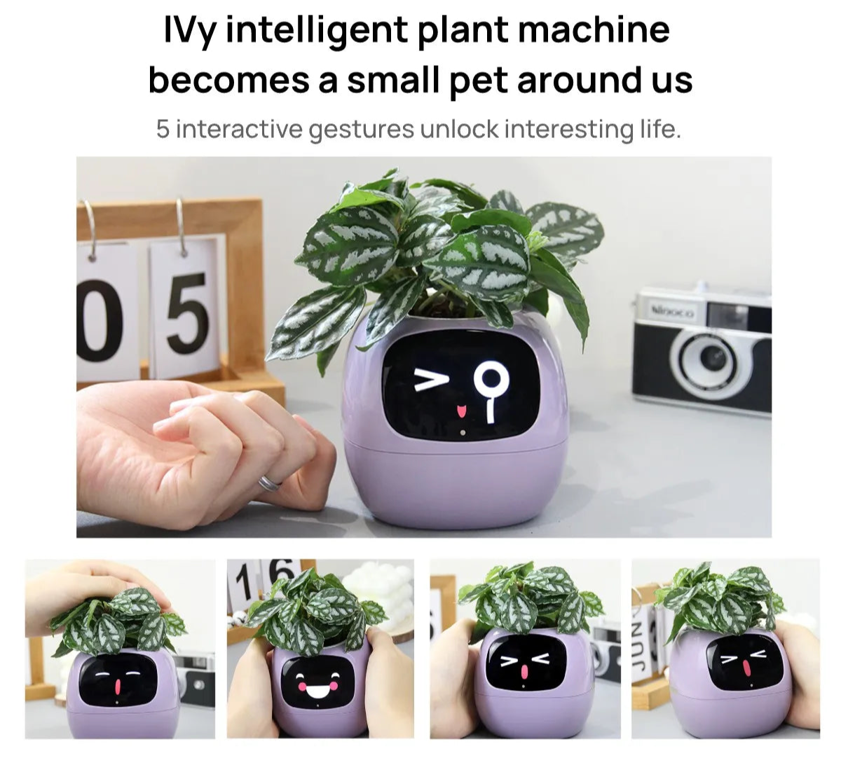 Smart Pot