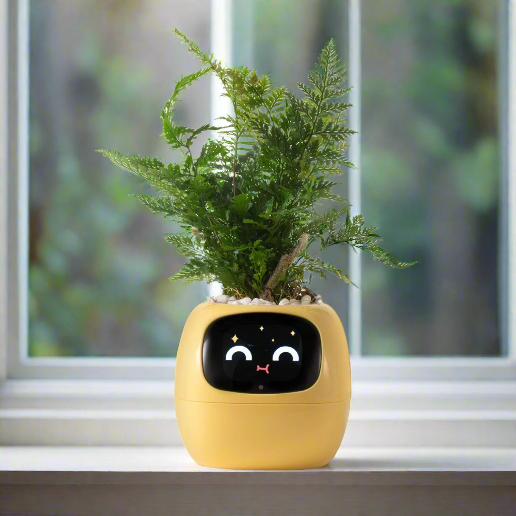 Smart Pot