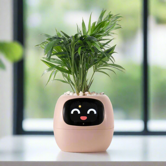 Smart Pot